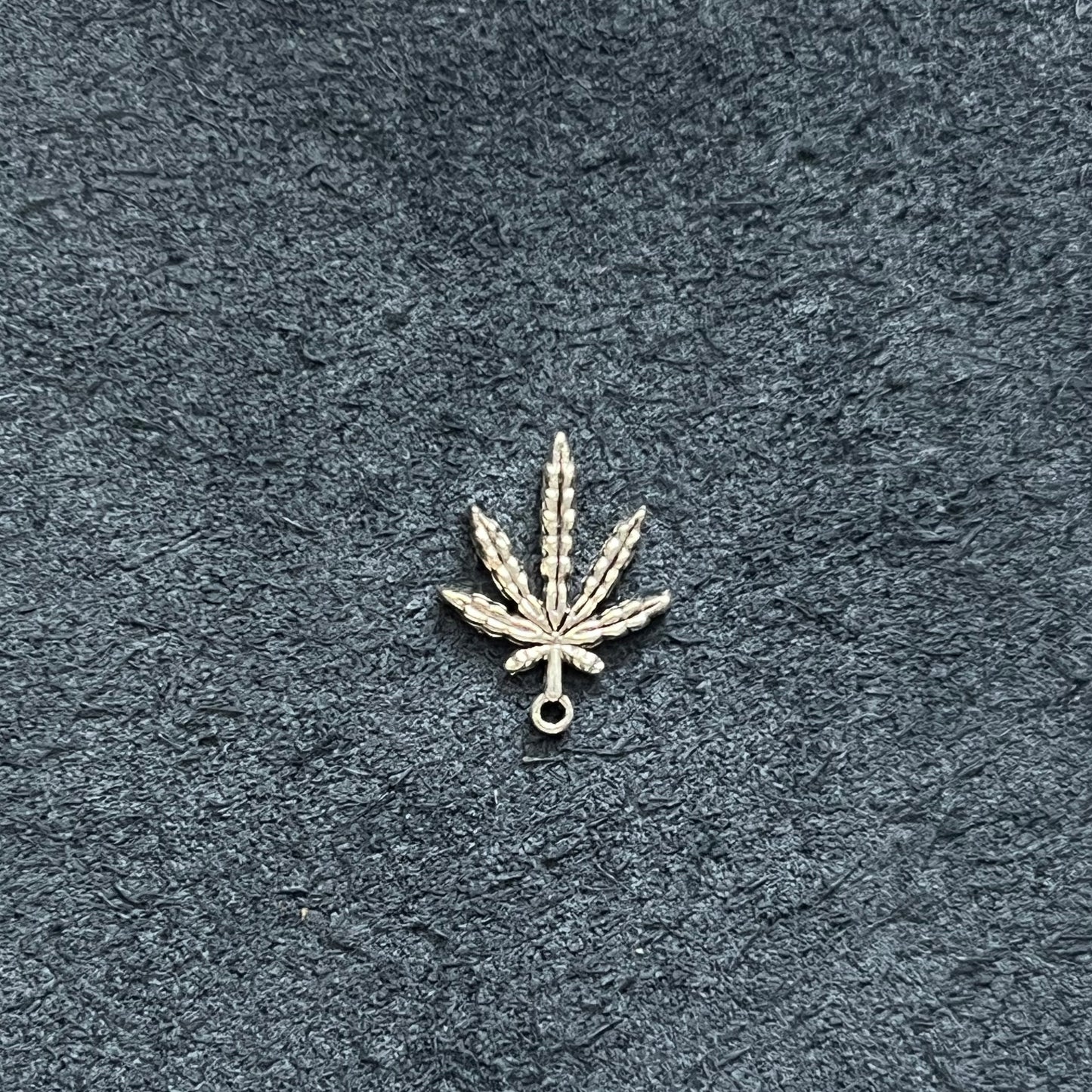 Pot Leaf(Not for sale, only for display)