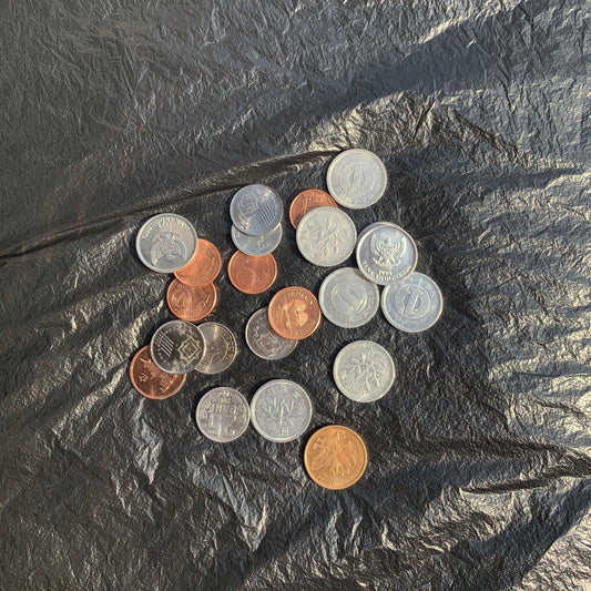 Coins (Not for sale, only for display) - resinsgift